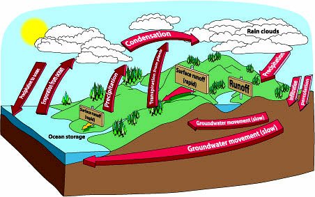 water cycle steps for kids. Water Field Day Activity Guide