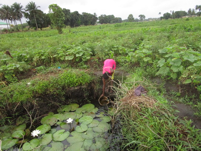 The Water Project : 1-sierraleone5129-swamp