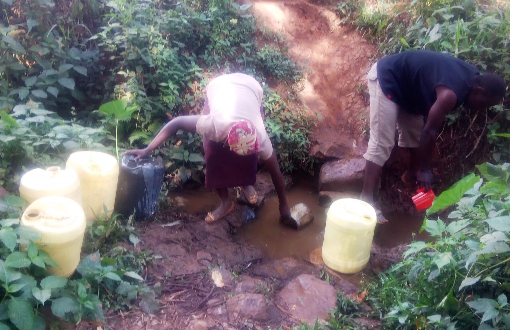 The Water Project : 4-kenya4738-fetching-water-from-shihachi-spring