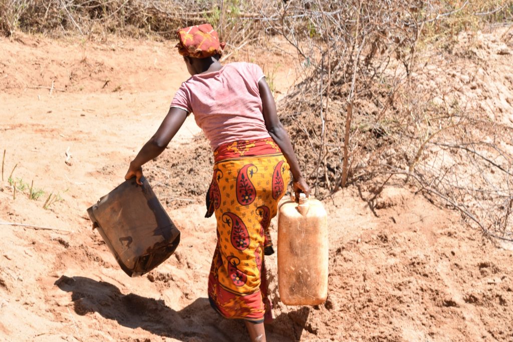 The Water Project : kenya18187-carrying-containers-to-collect-water