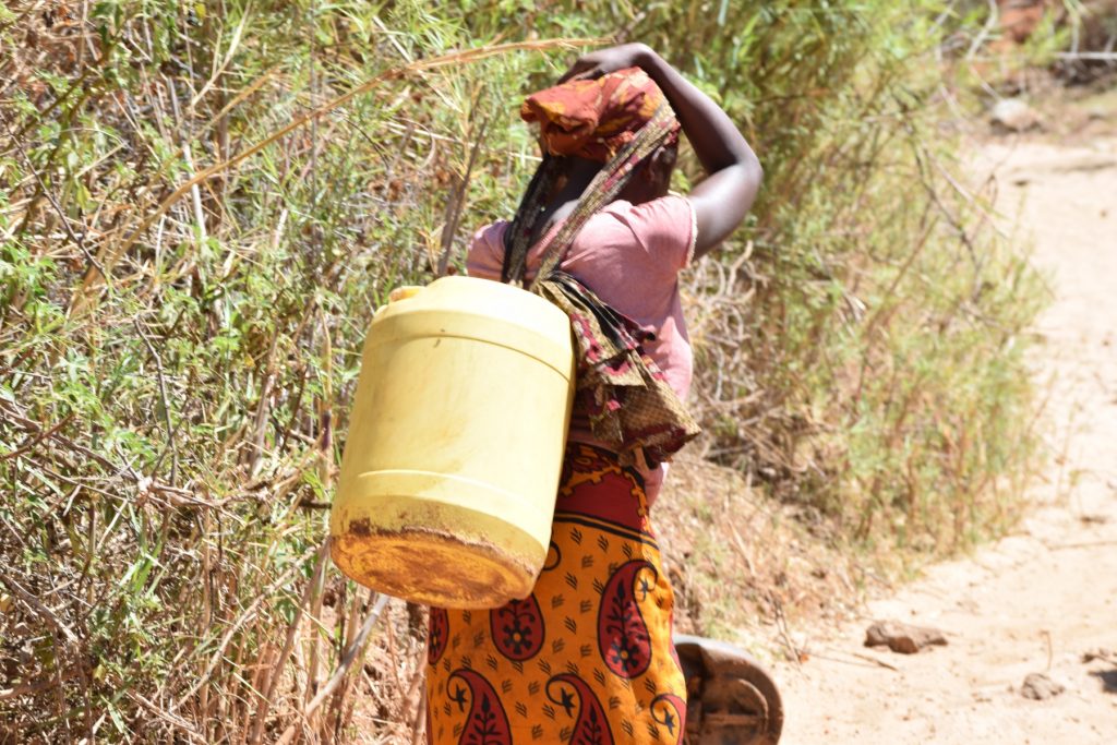 The Water Project : kenya18187-carrying-water-home
