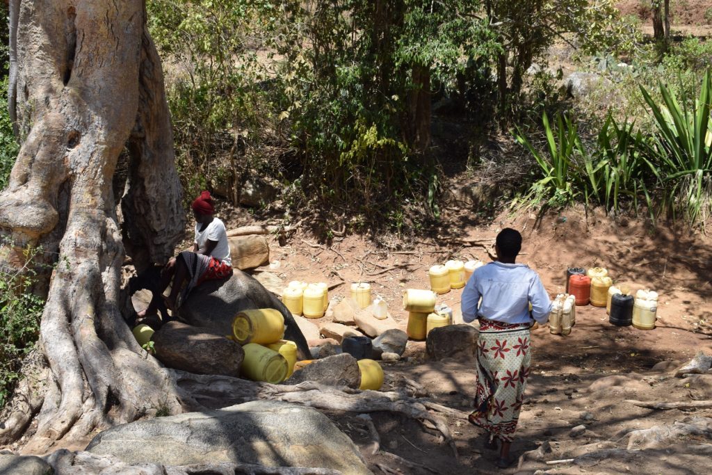 The Water Project : kenya18226-water-source