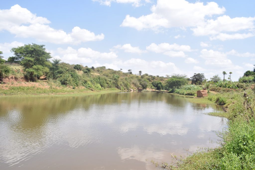 The Water Project : kenya4760-water-collects-thanks-to-the-dam