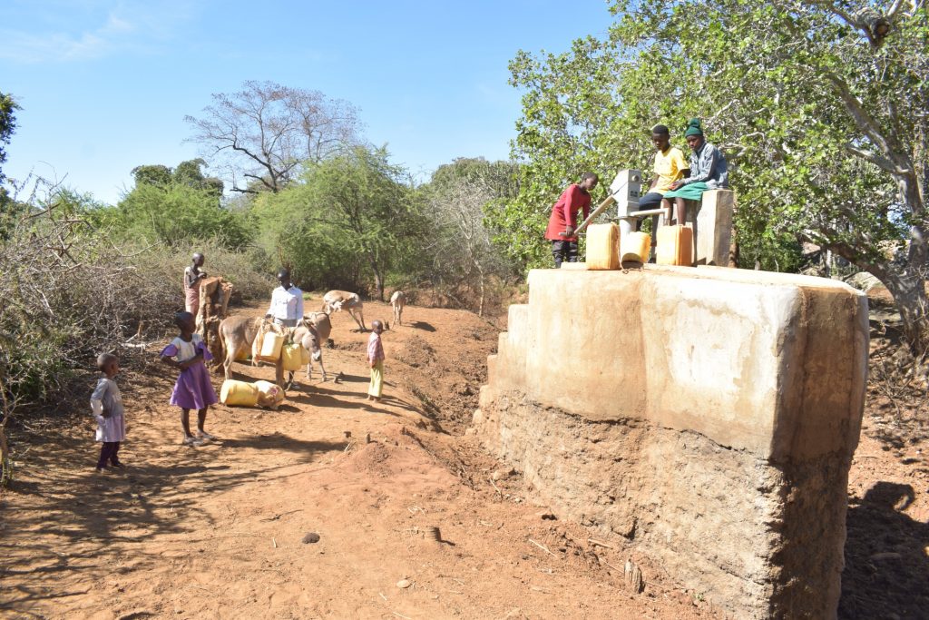 The Water Project : kenya18189-people-queue-at-the-well