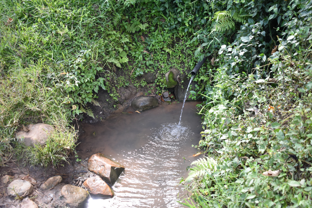 The Water Project : kenya20016-current-situation-of-temesi-spring-1