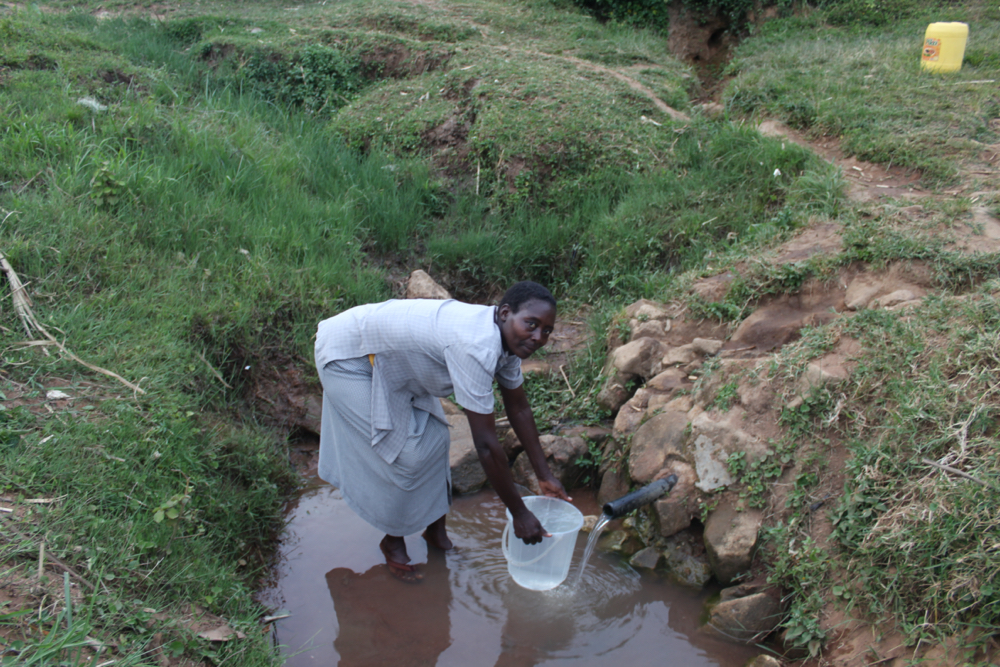 The Water Project: Kenya - Shianda Community, Aburil Spring