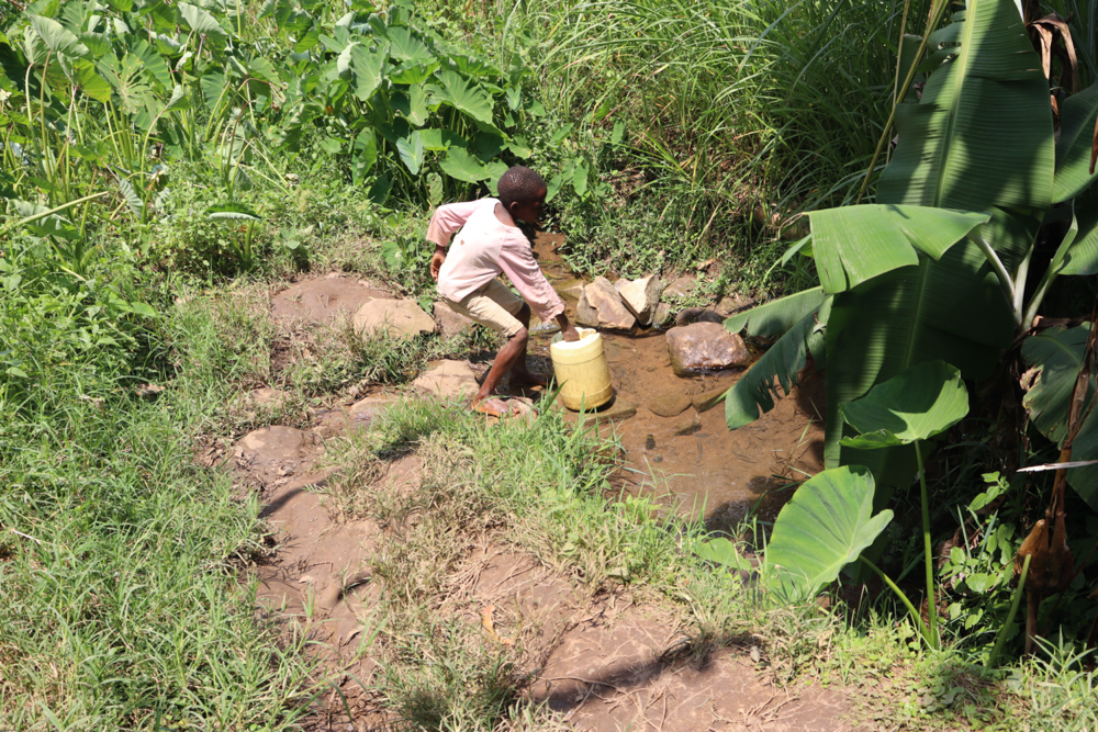 The Water Project : kenya21072-carrying-water-from-the-spring-2-2