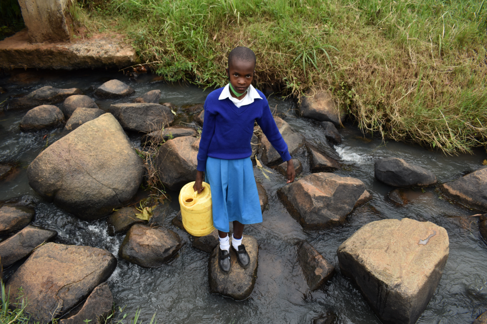 The Water Project : kenya21253-cheryl-fetching-water-from-the-stream-2