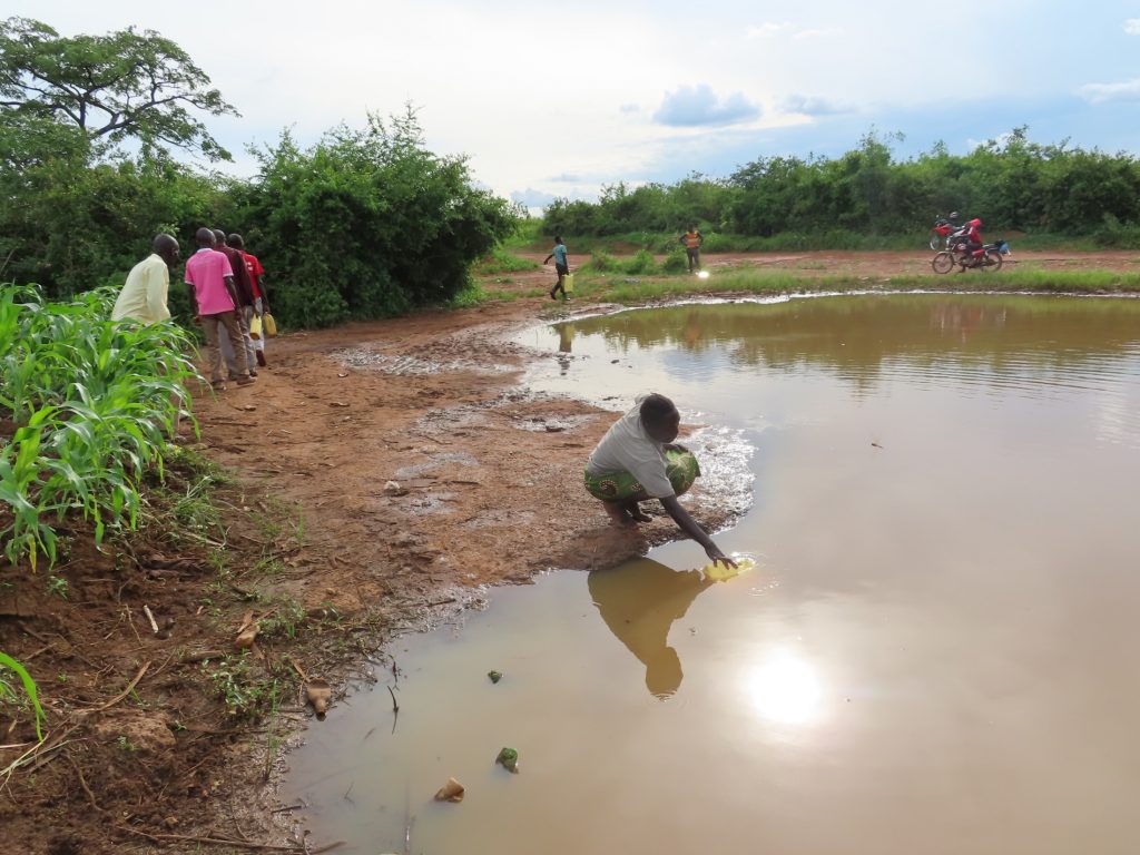 The Water Project : uganda21614-collecting-open-source-water