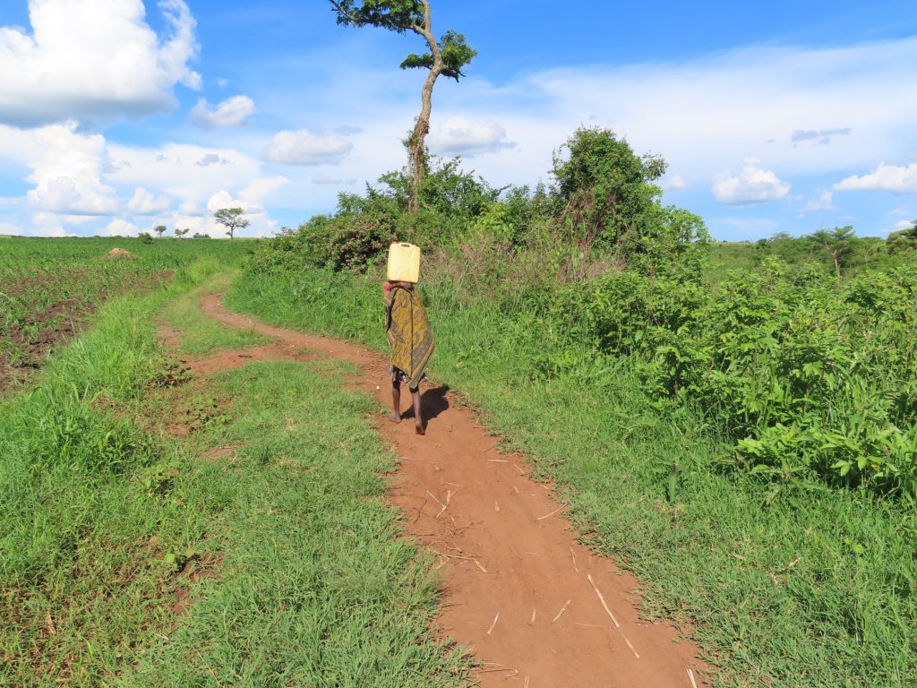 The Water Project : uganda21617-walking-with-water