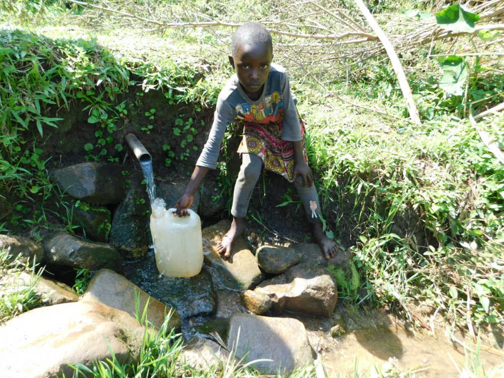The Water Project : kenya20026-collecting-water-from-khavana-spring-1-2