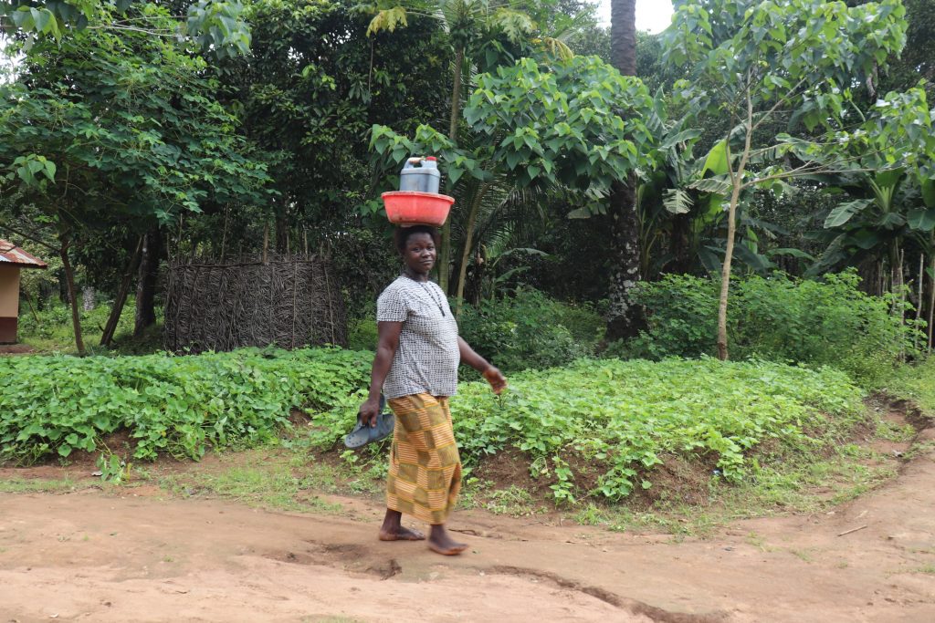 The Water Project : sierraleone22622-woman-selling-palm-oil