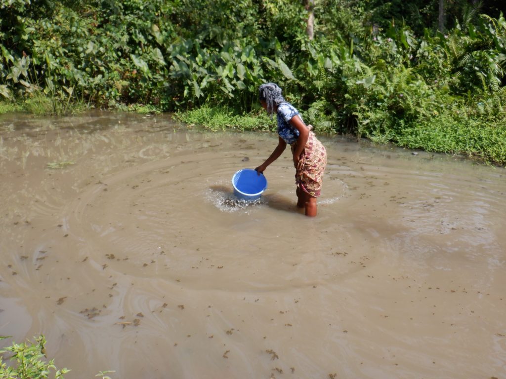 The Water Project : sierraleone22672-mabinty-collecting-water