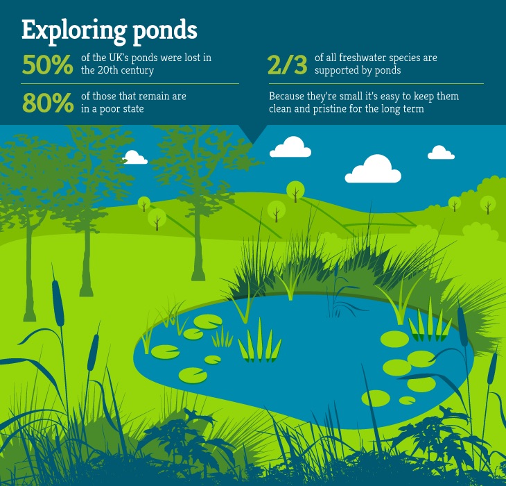 the characteristics of the streams lakes ponds and swamps types of freshwater biomes the characteristics of the streams lakes ponds and swamps types of freshwater biomes