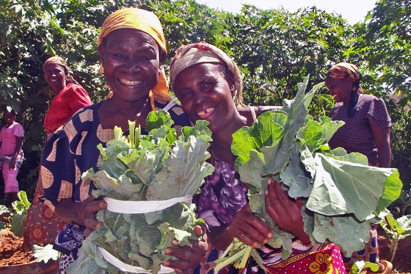 Sand Dams enable sustainable farming in Kenya