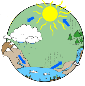 water cycle projects for 7th grade